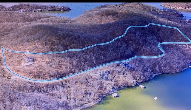 7930 Eagle Bay Dr, Gravois Mills, MO 65037 - drone / aerial view featuring a water view