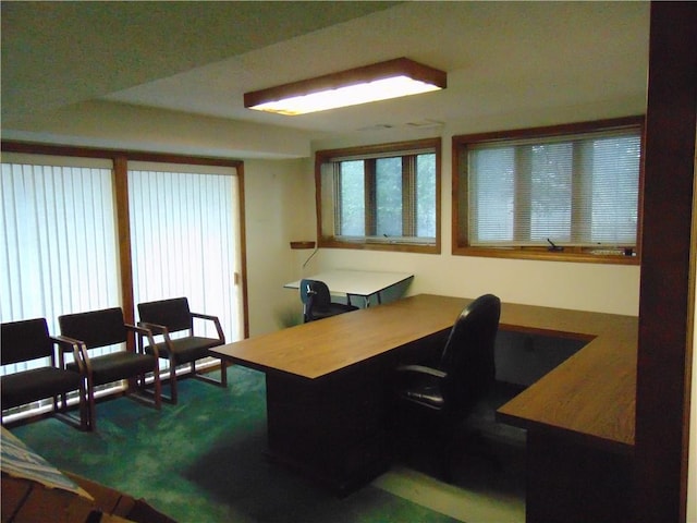 office featuring carpet