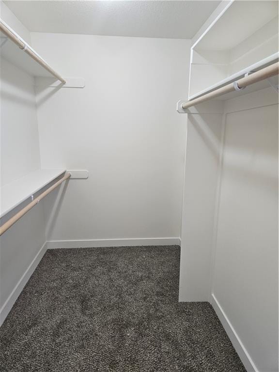 walk in closet with dark colored carpet