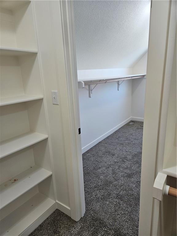 walk in closet with dark colored carpet