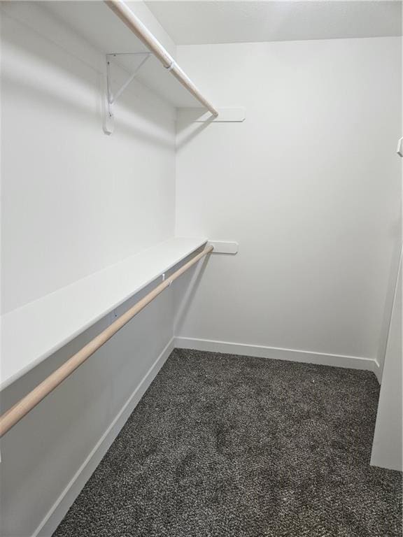 walk in closet featuring dark colored carpet