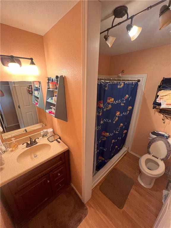 bathroom with track lighting, vanity, wood-type flooring, and toilet