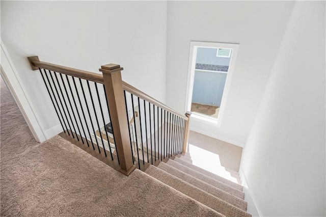 stairway with carpet floors and a wealth of natural light