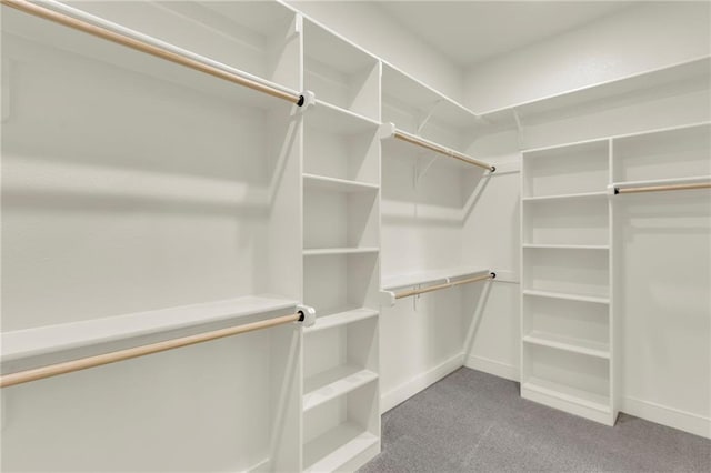 16879 S Cardinal St, Olathe, KS 66062 - spacious closet with carpet floors