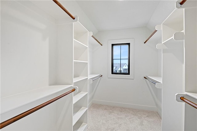 spacious closet with light carpet