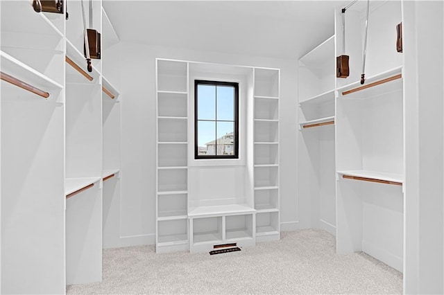 spacious closet with light colored carpet