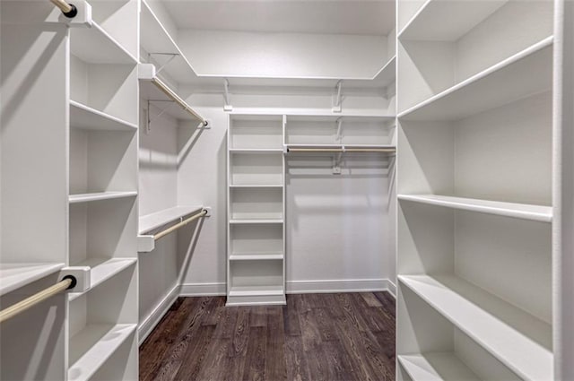 walk in closet with dark hardwood / wood-style flooring