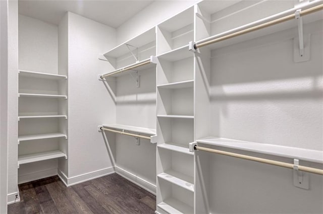 walk in closet featuring dark wood-type flooring