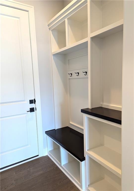 mudroom featuring dark wood-type flooring