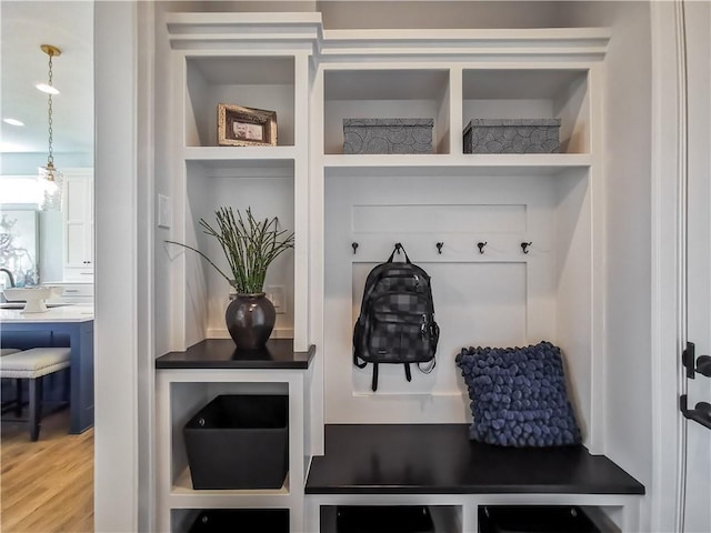 mudroom with wood-type flooring and built in shelves