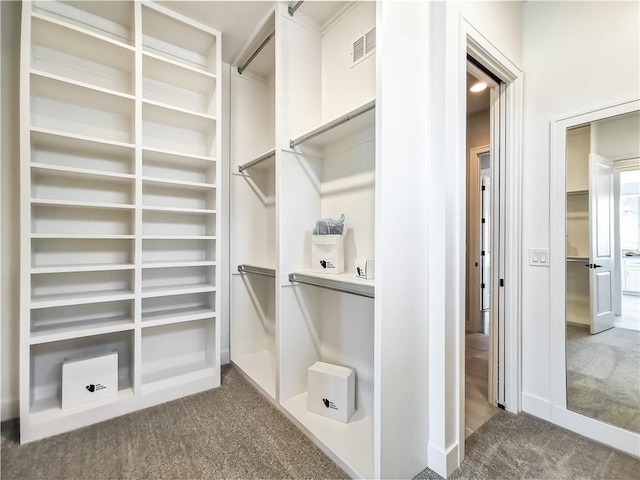 walk in closet with carpet flooring