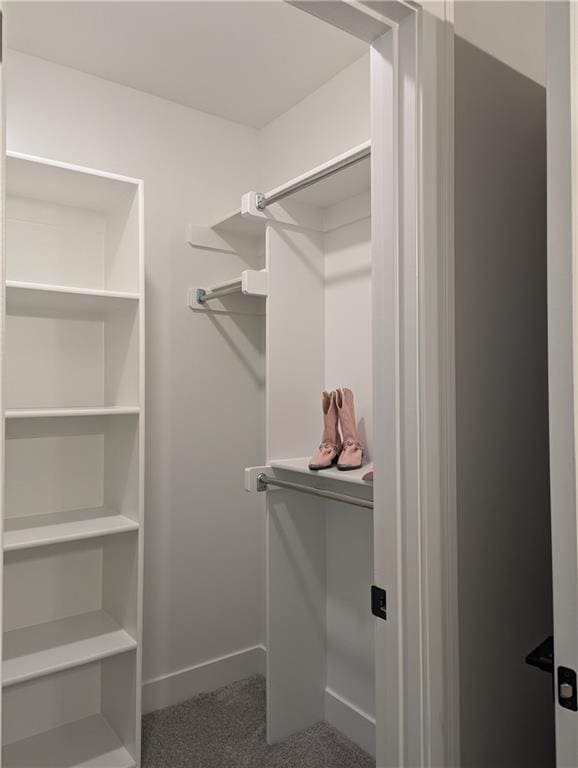 walk in closet featuring carpet flooring