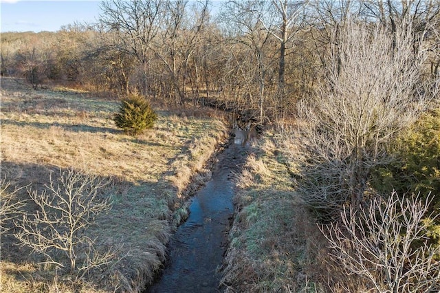 view of mother earth's splendor featuring a water view