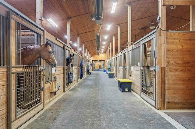 view of stable