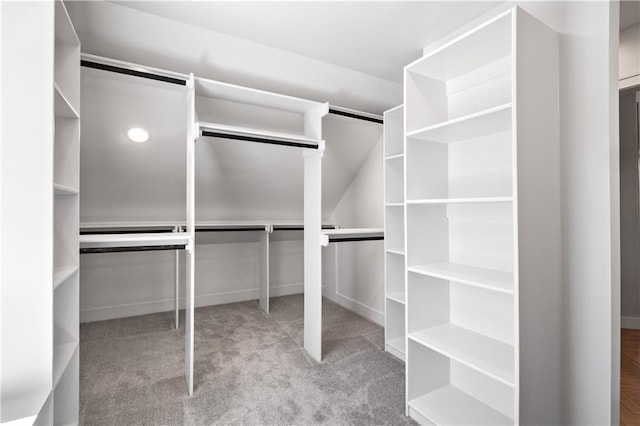 spacious closet with light colored carpet