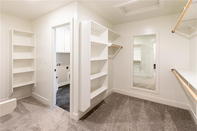 spacious closet with dark colored carpet