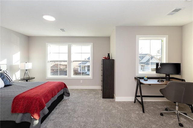 bedroom featuring carpet and multiple windows