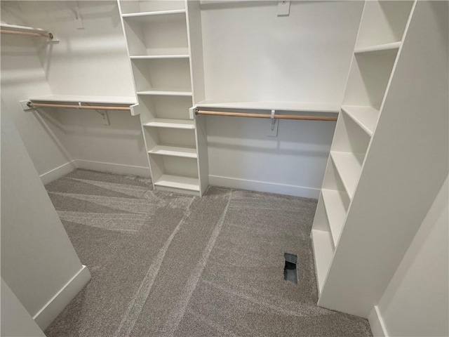 walk in closet featuring carpet flooring