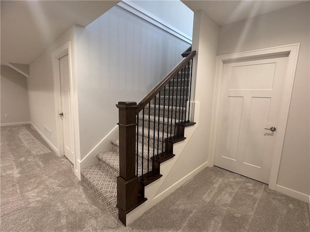 staircase with carpet floors