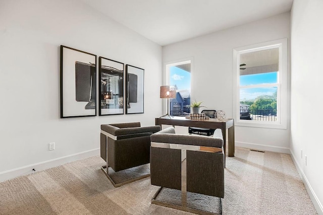 16735 S Hall St, Olathe, KS 66062 - carpeted home office featuring plenty of natural light