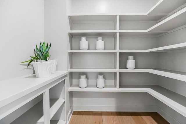16735 S Hall St, Olathe, KS 66062 - view of pantry