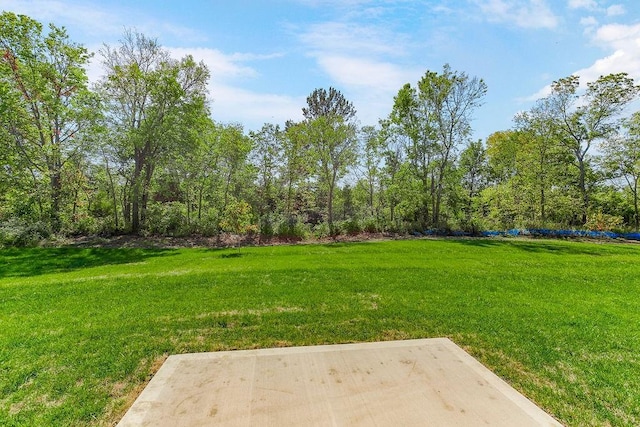 view of yard featuring a patio