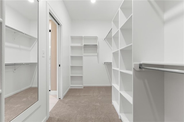 spacious closet with light carpet