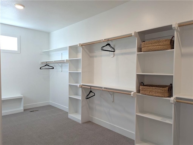 walk in closet featuring light colored carpet