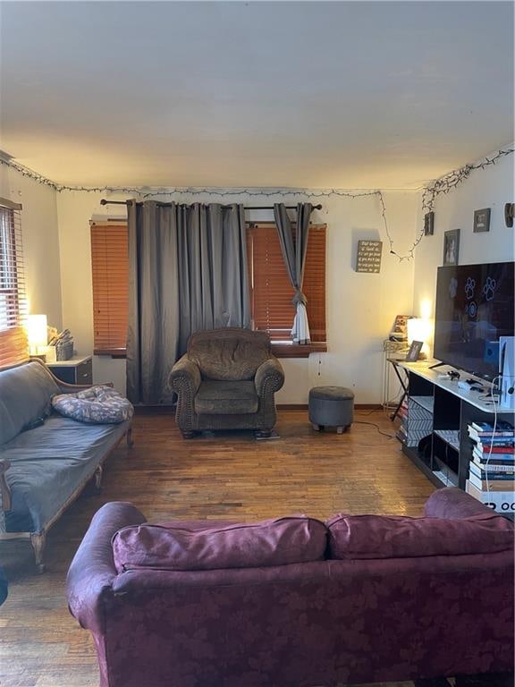 living room featuring dark wood-type flooring