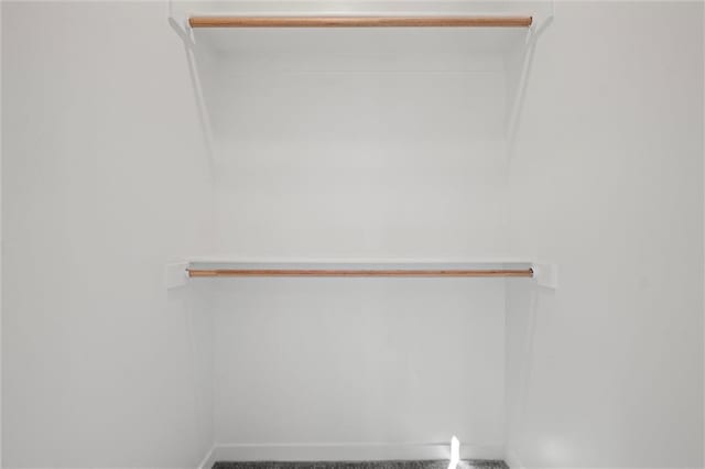 442 SW Brummel Rd, Lees Summit, MO 64081 - view of spacious closet