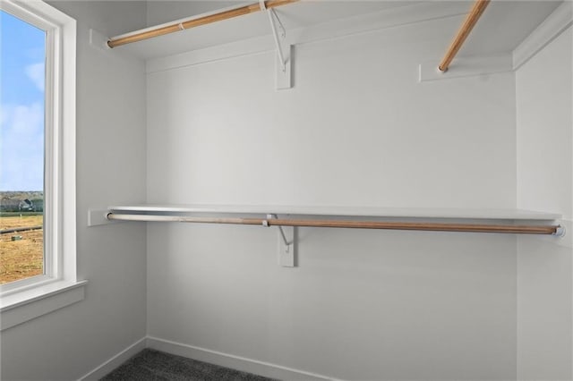 452 SW Brummel Rd, Lees Summit, MO 64081 - walk in closet with carpet