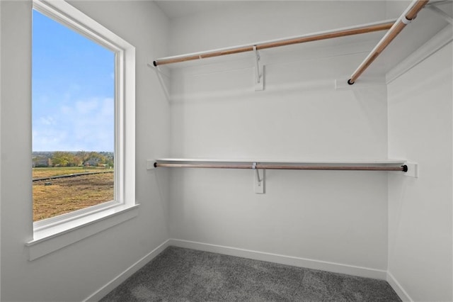 spacious closet with dark carpet