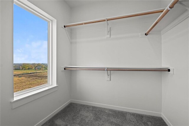458 SW Brummel Rd, Lees Summit, MO 64081 - walk in closet featuring carpet flooring