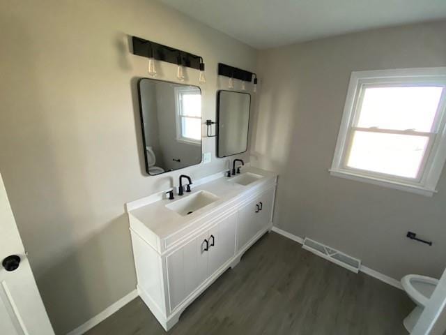 bathroom featuring a wealth of natural light, wood-type flooring, oversized vanity, and double sink