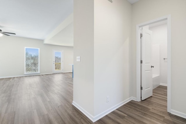 corridor featuring wood-type flooring