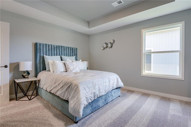 bedroom featuring carpet flooring and a raised ceiling