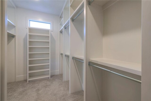 walk in closet featuring light colored carpet