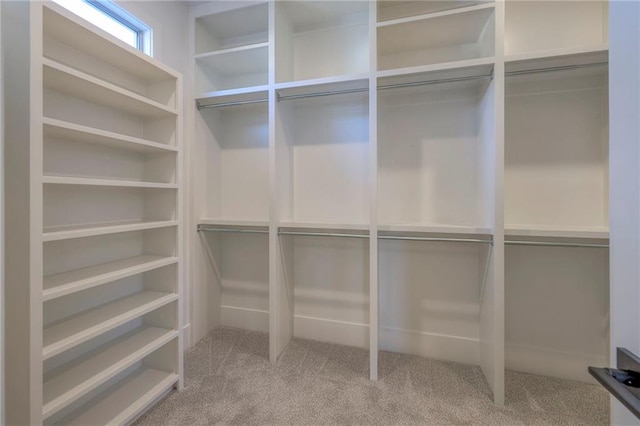 walk in closet with light carpet