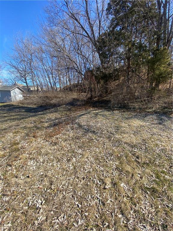 407 Winner Ave, Smithville, MO 64089 - photo 4