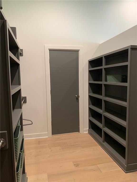 walk in closet featuring wood-type flooring