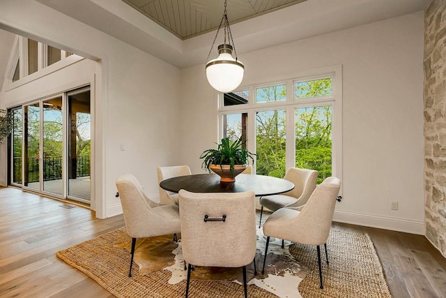 dining space with wood-type flooring and a wealth of natural light