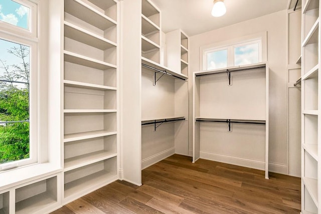 spacious closet with hardwood / wood-style flooring