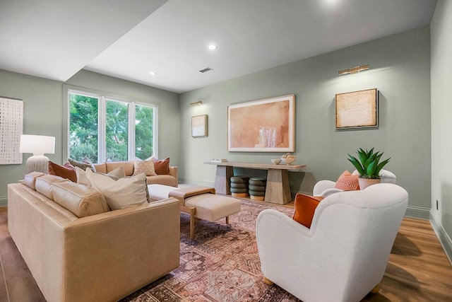 living room featuring wood-type flooring