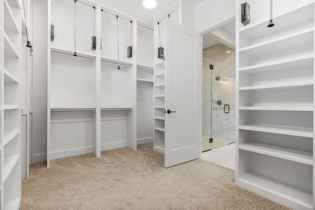 8009 Millridge St, Shawnee, KS 66220 - spacious closet featuring light colored carpet
