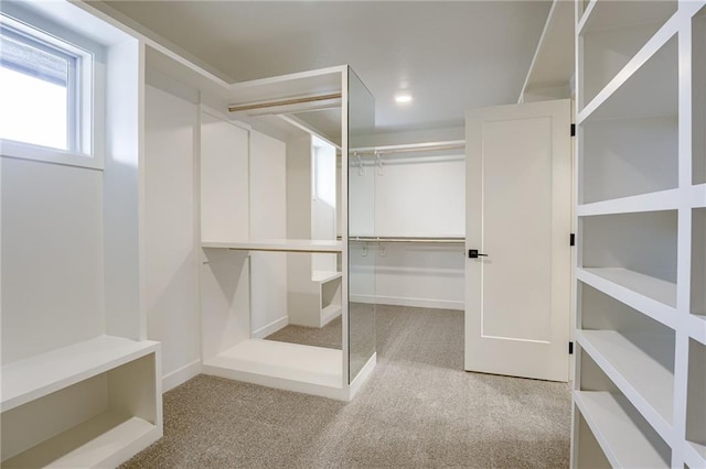 walk in closet with light colored carpet