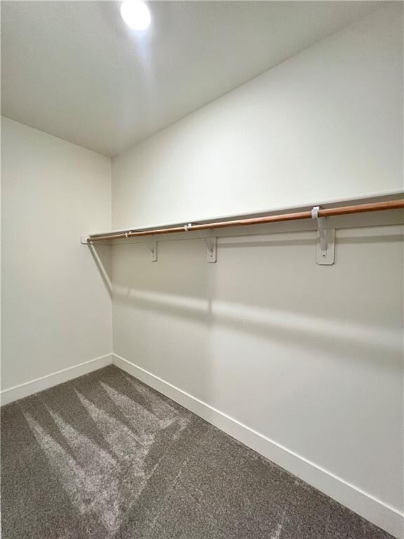 spacious closet with carpet flooring