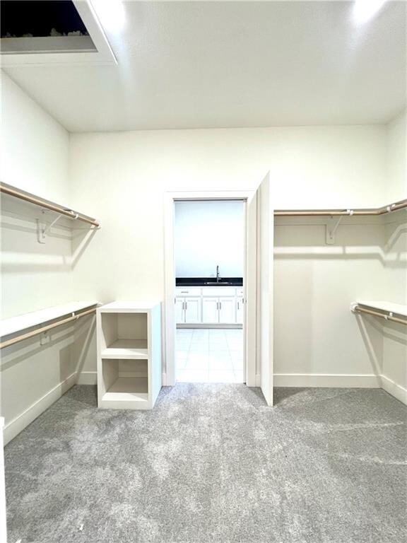 spacious closet with carpet floors and sink