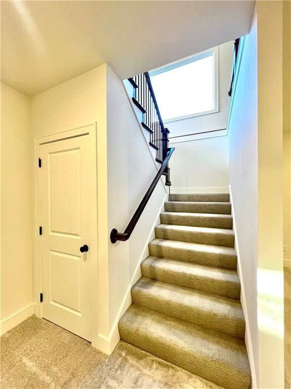 stairs with carpet