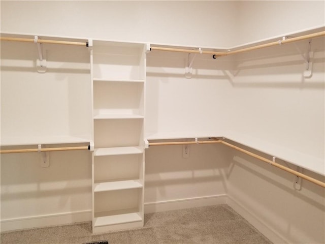 4576 Aspen Dr, Basehor, KS 66007 - walk in closet featuring carpet floors