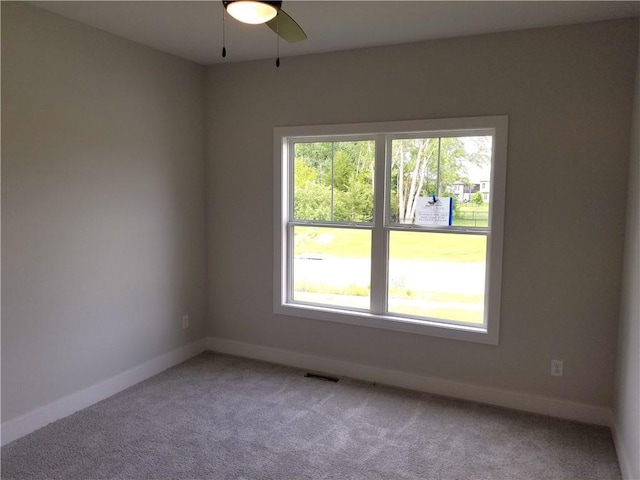 4576 Aspen Dr, Basehor, KS 66007 - photo 20